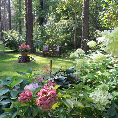 Kastavengrund - Ferienhaeuser Mit Kamin Люхен Екстериор снимка
