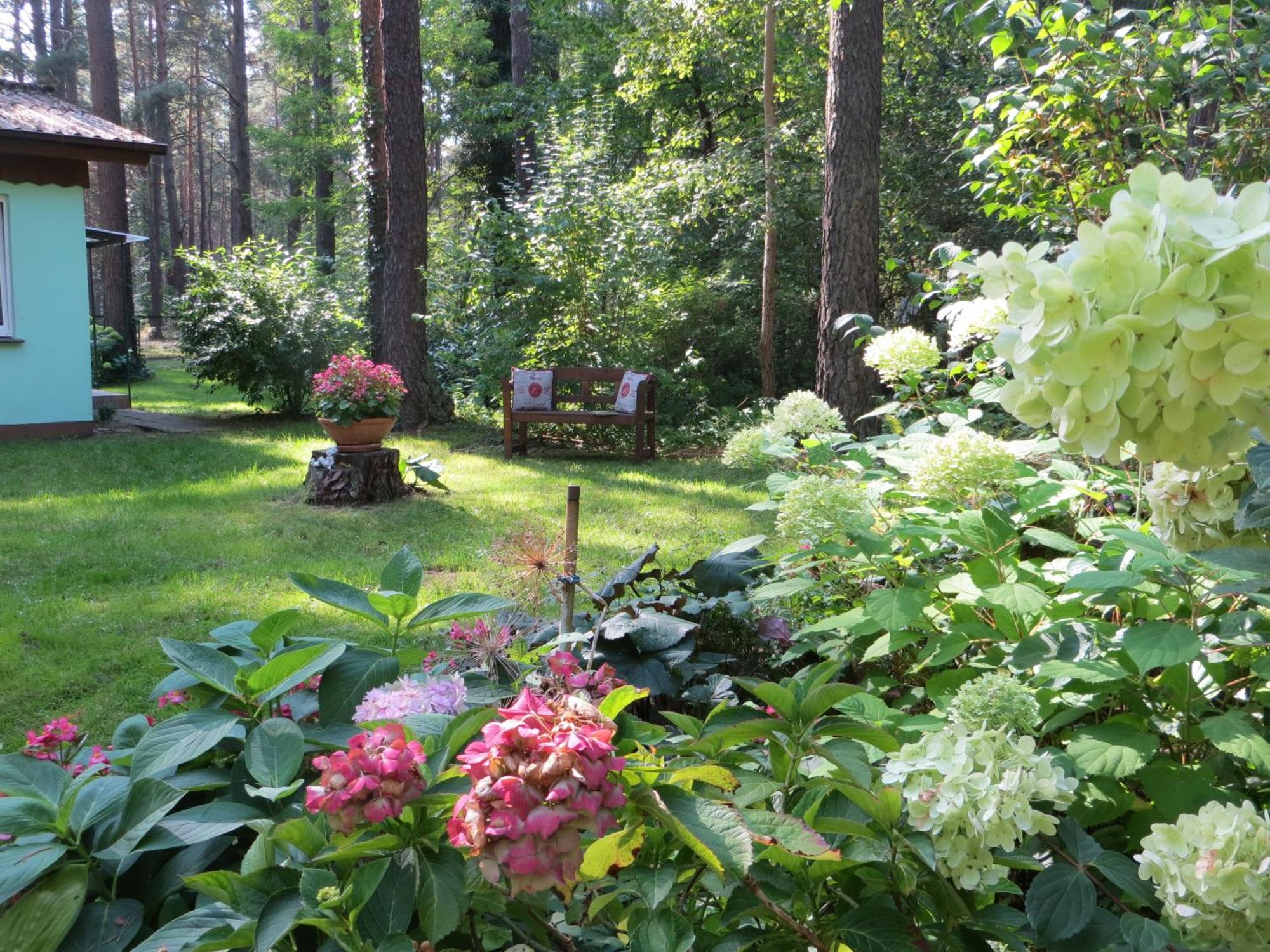 Kastavengrund - Ferienhaeuser Mit Kamin Люхен Екстериор снимка