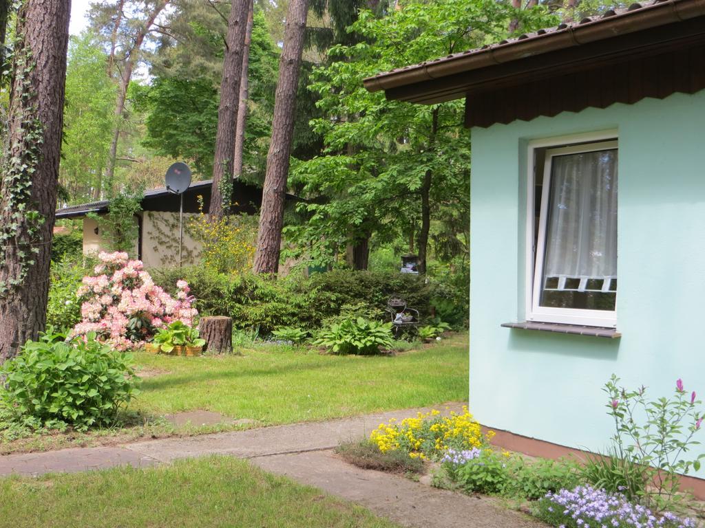 Kastavengrund - Ferienhaeuser Mit Kamin Люхен Екстериор снимка